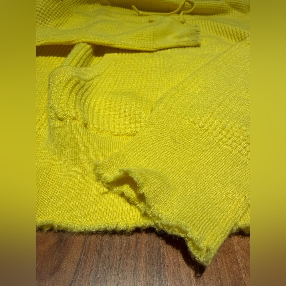 Polo Ralph Lauren Bright Yellow Hoodie
Women, M - Picture 4 of 8